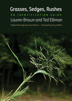 Grasses, Sedges, Rushes: An Identification Guide (Brown Lauren)(Paperback)