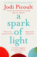 Spark of Light - THE NUMBER ONE SUNDAY TIMES BESTSELLER (Picoult Jodi)(Paperback / softback)