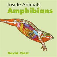 Amphibians (West David)(Paperback / softback)