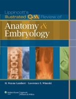 Lippincott\'s Illustrated Q&A Review of Anatomy and Embryology (Lambert H. Wayne)(Paperback)