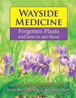 Wayside Medicine - Forgotten Plants and how to use them (Bruton-Seal Julie)(Pevná vazba)
