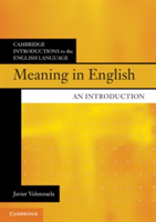 Meaning in English: An Introduction (Valenzuela Javier)(Paperback)