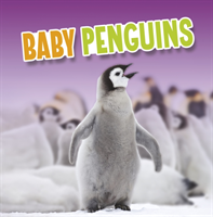 Baby Penguins (Rustad Martha E. H.)(Pevná vazba)