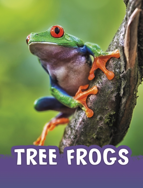 Tree Frogs (Jaycox Jaclyn)(Paperback / softback)