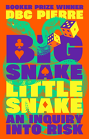 Big Snake Little Snake - An Inquiry into Risk (Pierre DBC)(Pevná vazba)