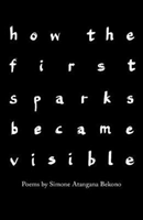 how the first sparks became visible (Atangana Bekono Simone)(Paperback / softback)