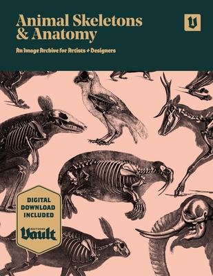 Animal Skeletons and Anatomy: An Image Archive for Artists and Designers (Kale James)(Paperback)