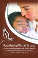 Breastfeeding Without Birthing: A Breastfeeding Guide for Mothers through Adoption, Surrogacy, and Other Special Circumstances (Schnell Alyssa)(Paperback)